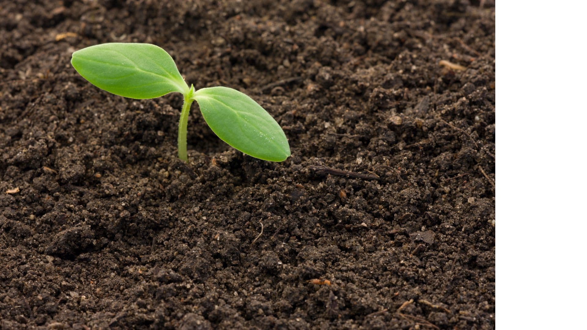 You're Not Too Small